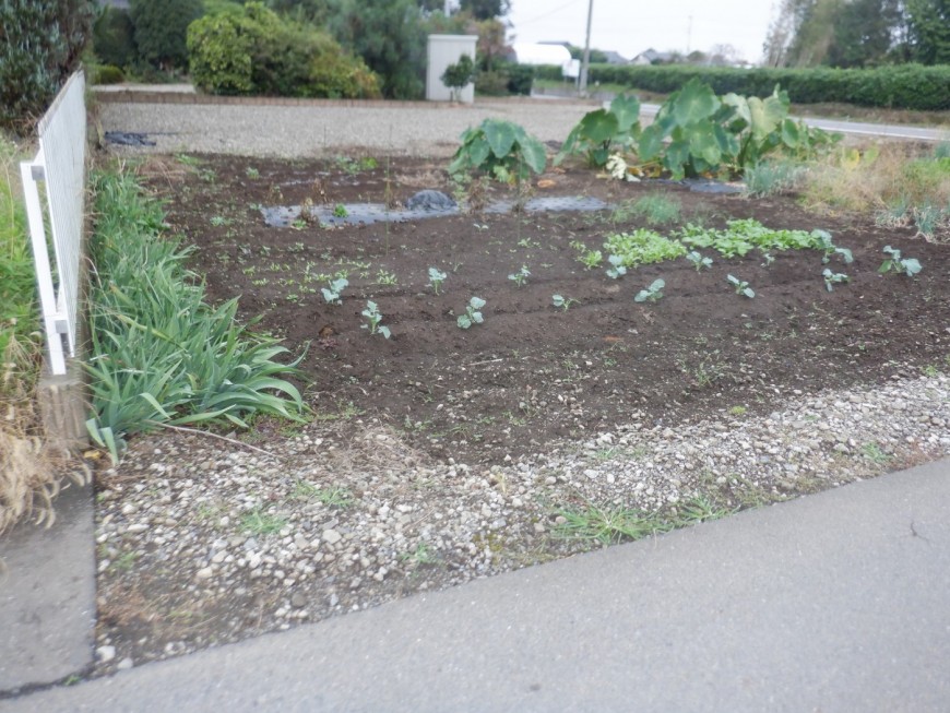 明るい南３ｍ東７．５ｍ道路角地！小山みなみ保育園すぐそば☆