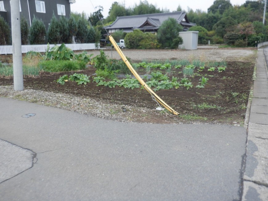 入口も入りやすく住みやすい環境☆